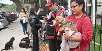 Rabia: “La prevención es fundamental y se logra únicamente a través de la vacunación responsable de las mascotas”