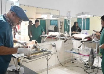 La Dirección de Zoonosis dio a conocer el cronograma semanal de atención