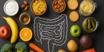Cuál es la vitamina que ayuda a regular el tránsito intestinal, según una nueva investigación