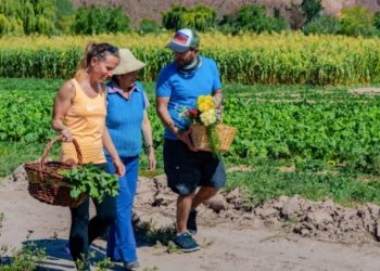 Maimará: una escapada corta, una experiencia completa
