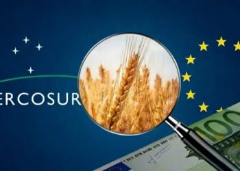 El Parlamento Europeo frenó el acuerdo con el Mercosur y abre una demora de hasta dos años antes de su vigencia