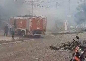 Siete mascotas perdieron la vida en el incendio de una vivienda en el barrio San Martín