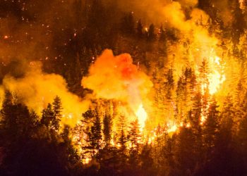El Gobierno declaró por DNU la Emergencia Ígnea para las provincias afectadas por los incendios