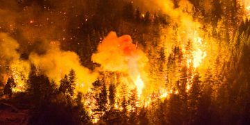 El Gobierno declaró por DNU la Emergencia Ígnea para las provincias afectadas por los incendios