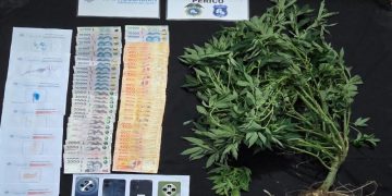 Lucha contra el narcomenudeo en Jujuy: allanamientos, detenidos y secuestro de sustancias