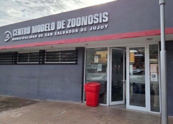 Modifican el sistema de pago para la castración de perros y gatos en la ciudad