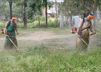Salud y municipios despliegan operativos en conjunto para prevenir casos de chikungunya