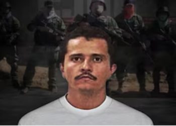 El Gobierno argentino declaró organización terrorista al Cártel de Jalisco Nueva Generación