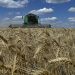 Guerra en Medio Oriente: se disparó el precio de un insumo agrario clave y se espera un fuerte impacto en el campo argentino