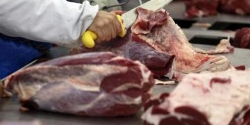 El consumo de carne vacuna cayó al nivel más bajo en más de 20 años