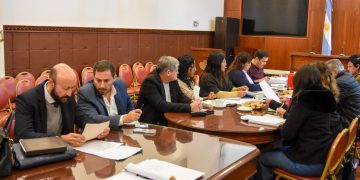 La Comisión de Pueblos Indígenas analizó proyectos de resolución y pedidos de informes