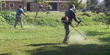 Desmalezado masivo en Alto Comedero: más de 100 trabajadores recuperan 144 espacios verdes