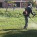 Desmalezado masivo en Alto Comedero: más de 100 trabajadores recuperan 144 espacios verdes
