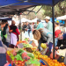 La Feria Campesina Pucará llega con productos regionales al Centro Cultural Manuel Belgrano