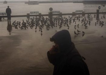 Turquía restringió el acceso a las redes sociales para menores de 15 años