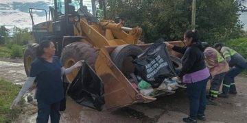 Jujuy intensifica la vigilancia sanitaria por chikungunya