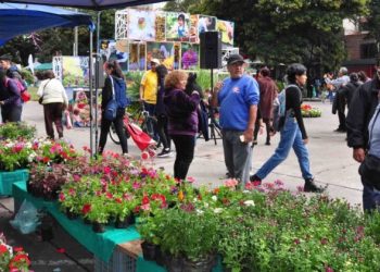 Este viernes comienza la 16° edición de “La Flor Más Bella” con exposición y talleres gratuitos