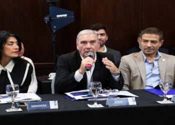 Manzur asistió a una nueva reunión del Consejo Federal de Salud