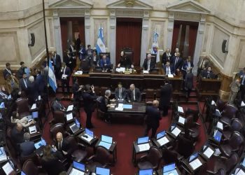 El Senado aprobó los ascensos de jefes militares y designó a Lucila Crexell embajadora en Canadá