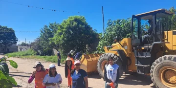 Prevenir y actuar a tiempo, las medidas más efectivas para evitar chikungunya