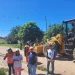 Prevenir y actuar a tiempo, las medidas más efectivas para evitar chikungunya