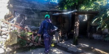 Jujuy optimiza la estrategia territorial para la prevención de chikungunya