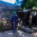 Jujuy optimiza la estrategia territorial para la prevención de chikungunya