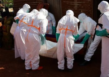 Alerta en Argentina: la SIDE detectó barcos que venían de zonas con Ébola