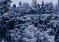Se aproxima la peor ola polar del año con lluvias intensas, granizo y fuertes vientos: confirman zonas con temperaturas bajo cero