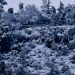 Se aproxima la peor ola polar del año con lluvias intensas, granizo y fuertes vientos: confirman zonas con temperaturas bajo cero