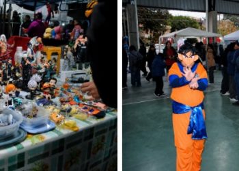 “Goku no Hi” fue todo un éxito en Jujuy