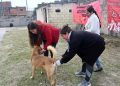 Zoonosis brindará talleres y realizará operativos sanitarios en distintos puntos de la ciudad