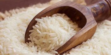 Argentina y Uruguay agotaron el cupo de exportación de arroz asignadas al Mercosur para La Unión Europea