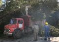 Fuertes vientos provocaron daños y un amplio operativo en San Salvador de Jujuy