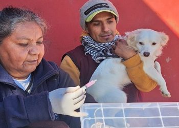 Zoonosis realizará operativos de vacunación, desparasitación y quirófano externo en distintos barrios de la ciudad