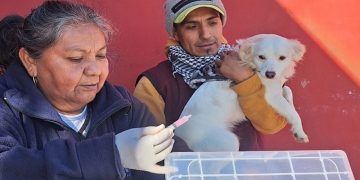 Zoonosis realizará operativos de vacunación, desparasitación y quirófano externo en distintos barrios de la ciudad