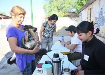 La campaña gratuita de vacunación antirrábica y registro de mascotas continúa en Huaico, Alto Comedero y barrio 18 de Noviembre