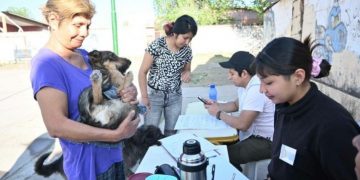 La campaña gratuita de vacunación antirrábica y registro de mascotas continúa en Huaico, Alto Comedero y barrio 18 de Noviembre