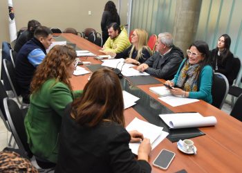 La Comisión de Economía trató el proyecto de modificación de la Ley de la Microempresa