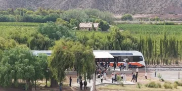 El Tren del Vino: llega una nueva experiencia del Tren Solar de la Quebrada