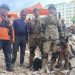 Venezuela: un perro de rescate argentino fue clave para encontrar a dos niños