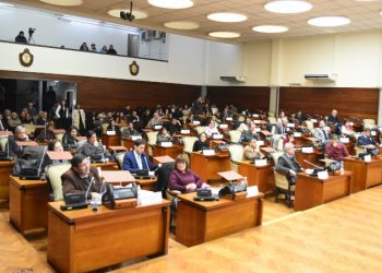 La Legislatura sancionó leyes de asistencia fiscal, inclusión y modificación del Registro de Deudores Alimentarios Morosos