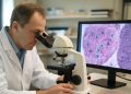Células productoras de insulina: un nuevo enfoque para combatir la diabetes