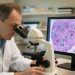 Células productoras de insulina: un nuevo enfoque para combatir la diabetes