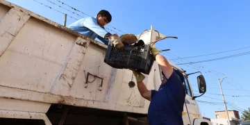 La prevención del dengue se construye entre todos: nueva semana de descacharrado en San Salvador