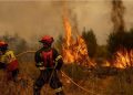 Madrid sufre incendios devastadores con 19.000 afectados y 6.000 hectáreas