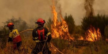 Madrid sufre incendios devastadores con 19.000 afectados y 6.000 hectáreas