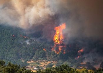 España sufre los incendios forestales más grandes y devastadores de su historia