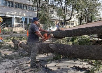 Espacios Verdes mantiene un operativo intensivo para atender los daños ocasionados por el viento