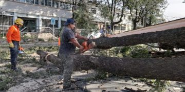 Espacios Verdes mantiene un operativo intensivo para atender los daños ocasionados por el viento